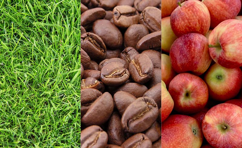 Papier z jabłek, kawy lub trawy? Już teraz w FKD!